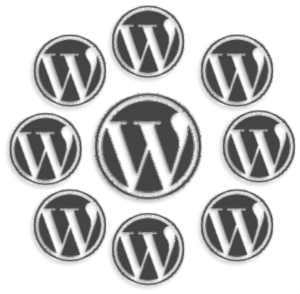 Hoe een WordPress multisite installatie verhuizen?